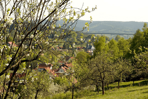 Albrechts im Frühling